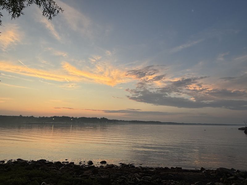 page banner image
